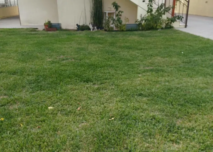 Alegre Moradia Kwatera prywatna *